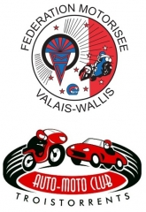 Logo FMVs-AMCT.jpg